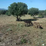 Vistamare
