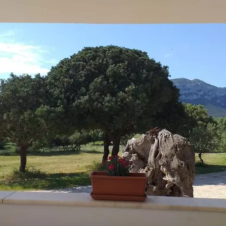 Farm stay Vistamare