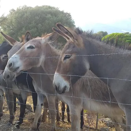Vistamare Séjour à la ferme