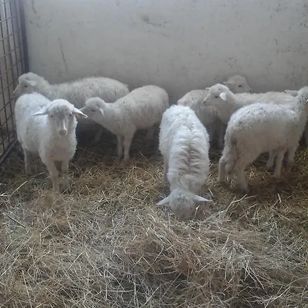 Séjour à la ferme Vistamare *