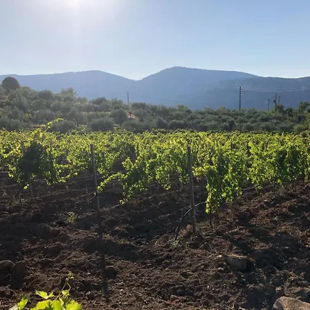 Farm stay Vistamare Orosei